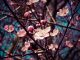 سبزه شکوفه دار و نکات جالبی در مورد هفت سین و پیشینه آن  - tree nature branch blossom plant white 648390 pxhere - صفحه اصلی &#8211; مجله خبر